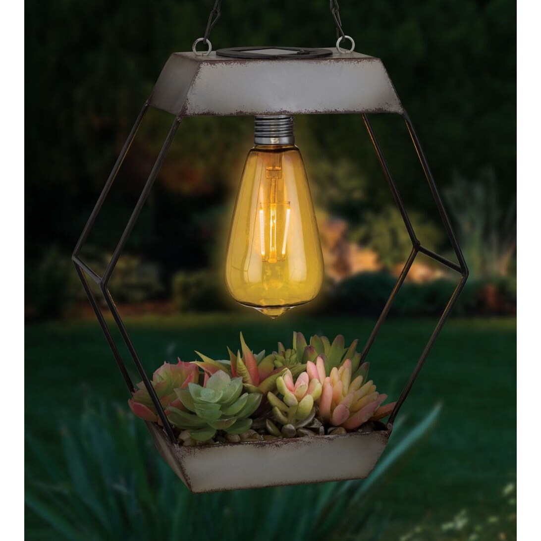 Edison Succulent Solar Lantern - Diamond