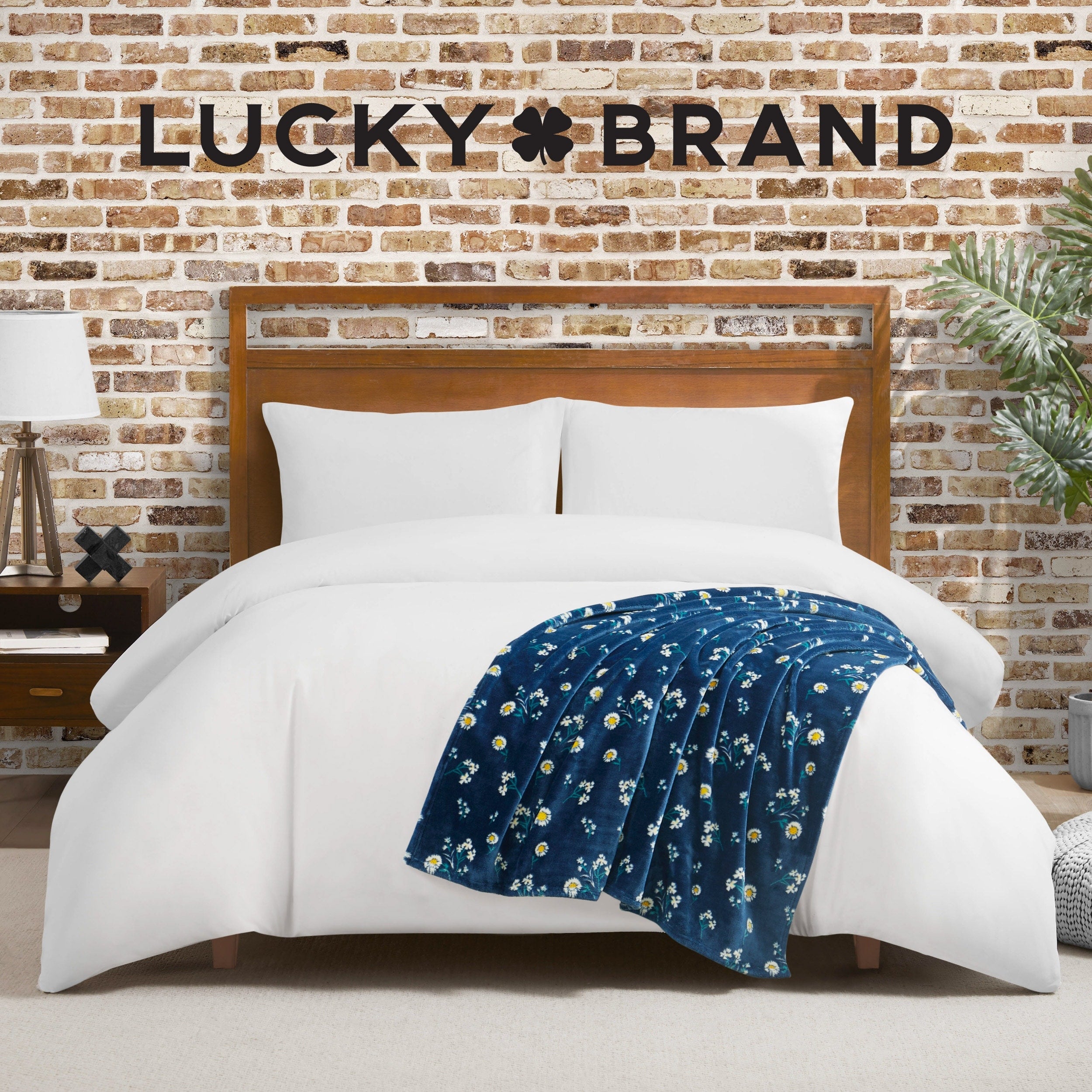 Lucky Brand Daisy Throws Plush 50 x 70 Throw Blanket