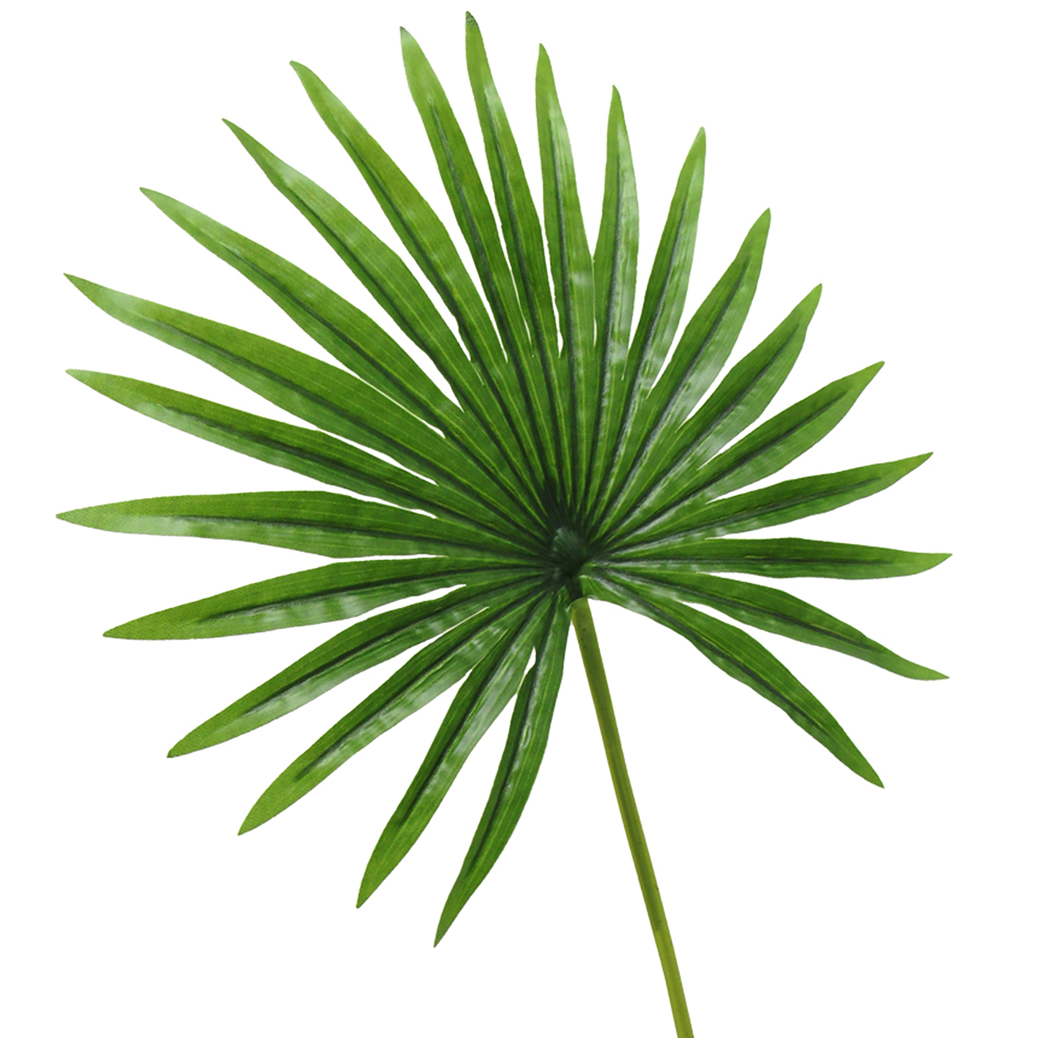 Set of 3 Artificial Fan Palm Leaf Stem Tropical Plant Greenery Foliage 20in - 20 L x 12 W x 0.5 DP