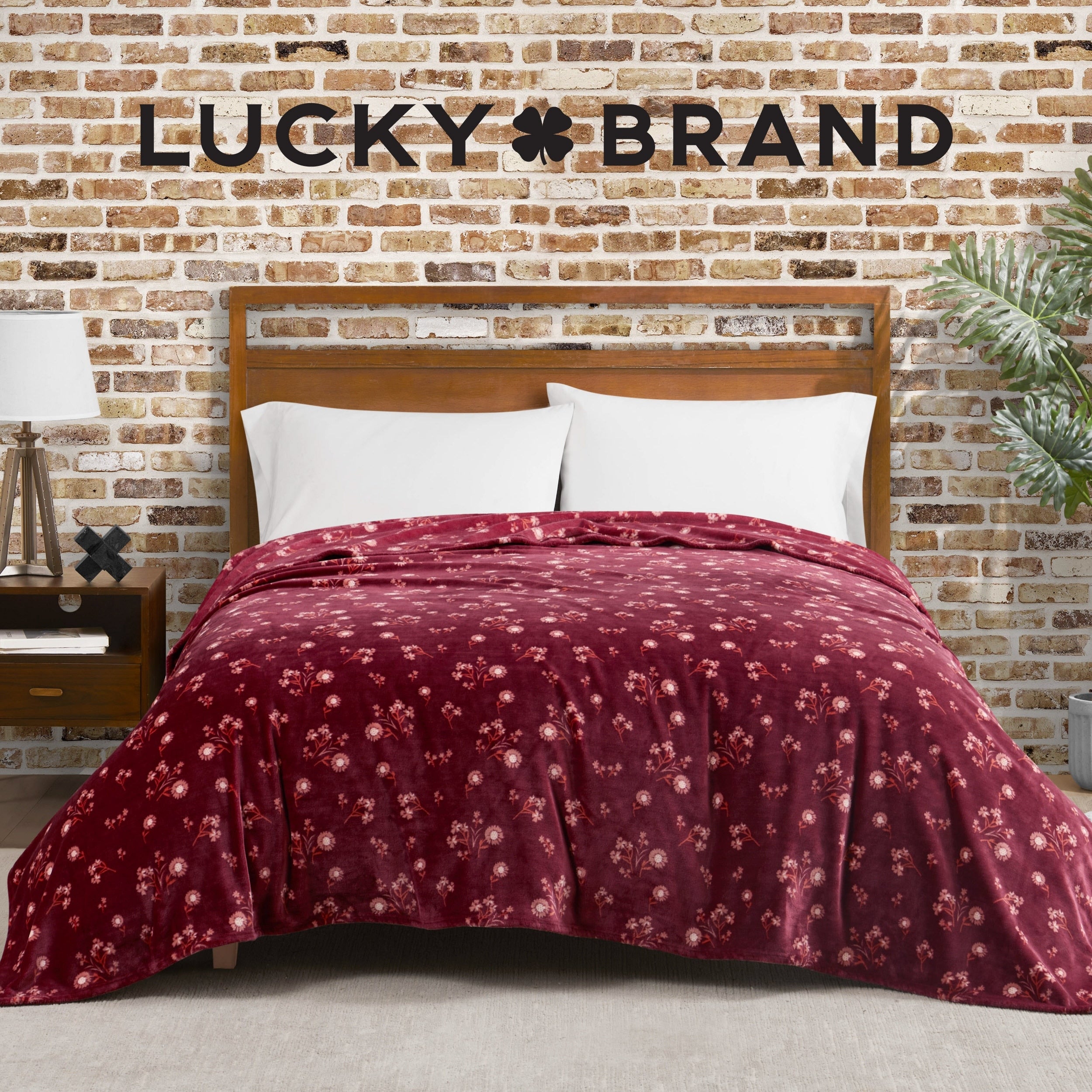 Lucky Brand Daisy Throws Plush 50 x 70 Throw Blanket