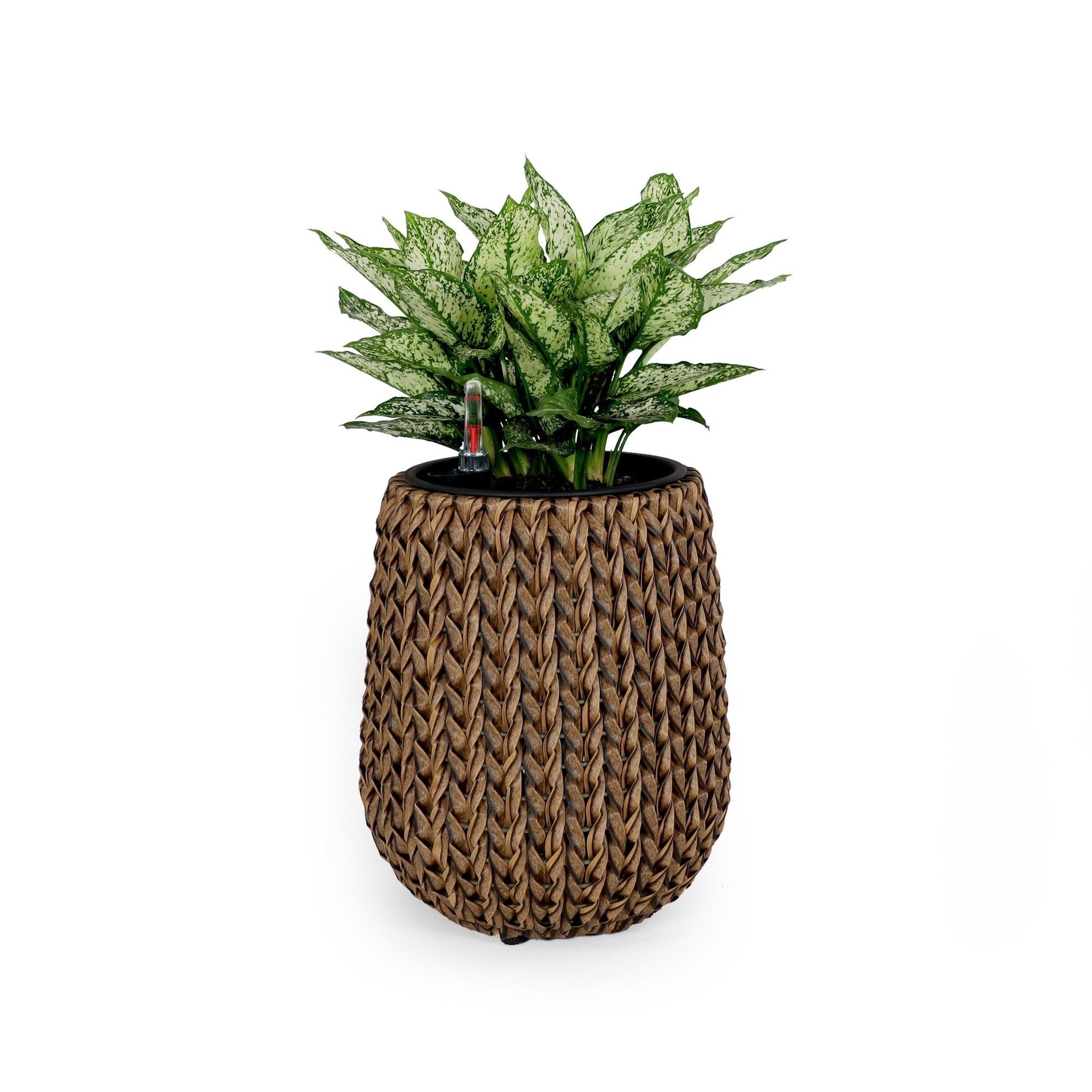 DTY Signature Self-watering Wicker Planter - Garden Decoration Pot