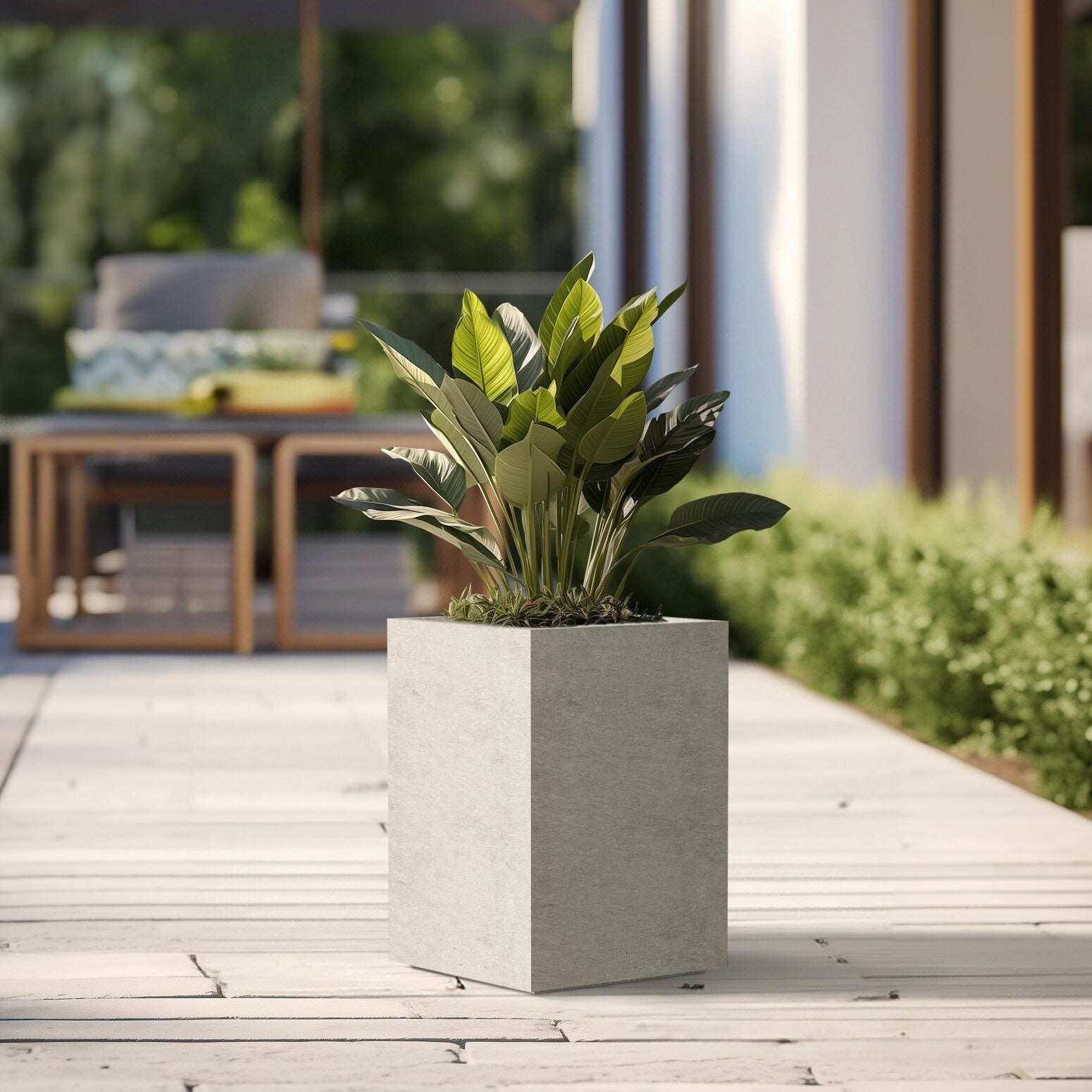 Tall Concrete Rectangle Plant Boxes / Large Indoor and Outdoor Flower Planters