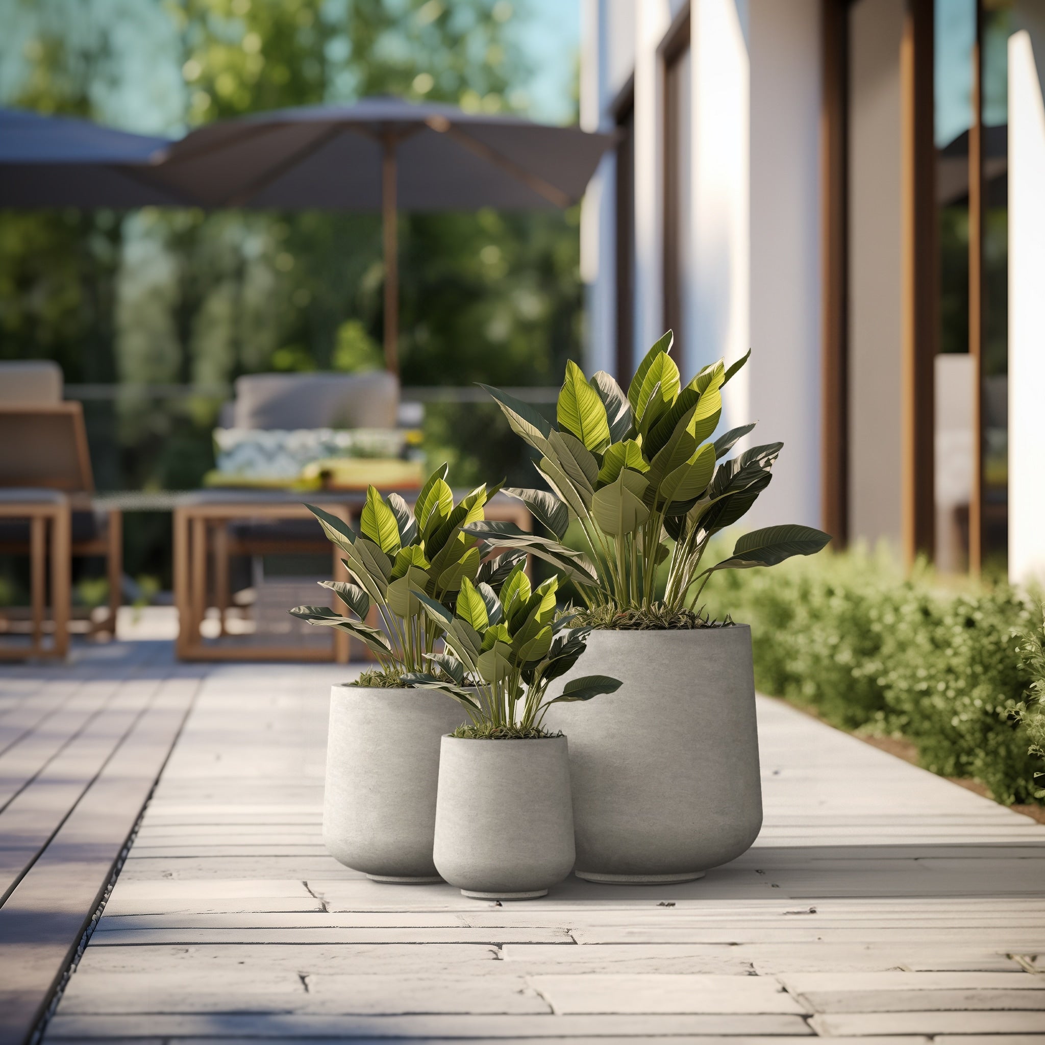 Tall Concrete Round Plant Pots / Large Indoor and Outdoor flower Planters