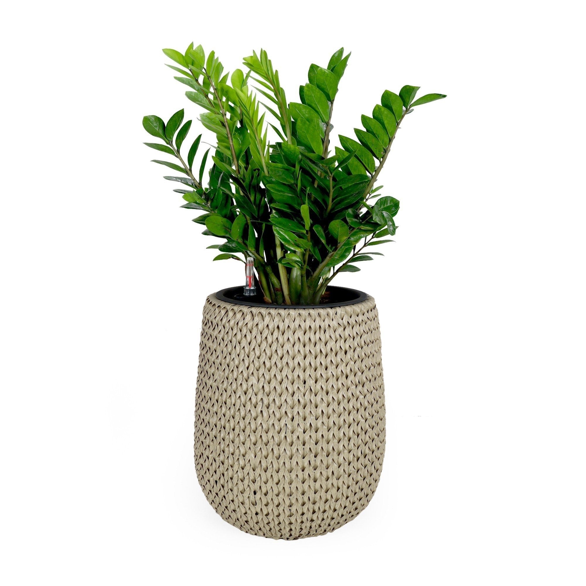 DTY Signature Self-watering Wicker Planter - Garden Decoration Pot