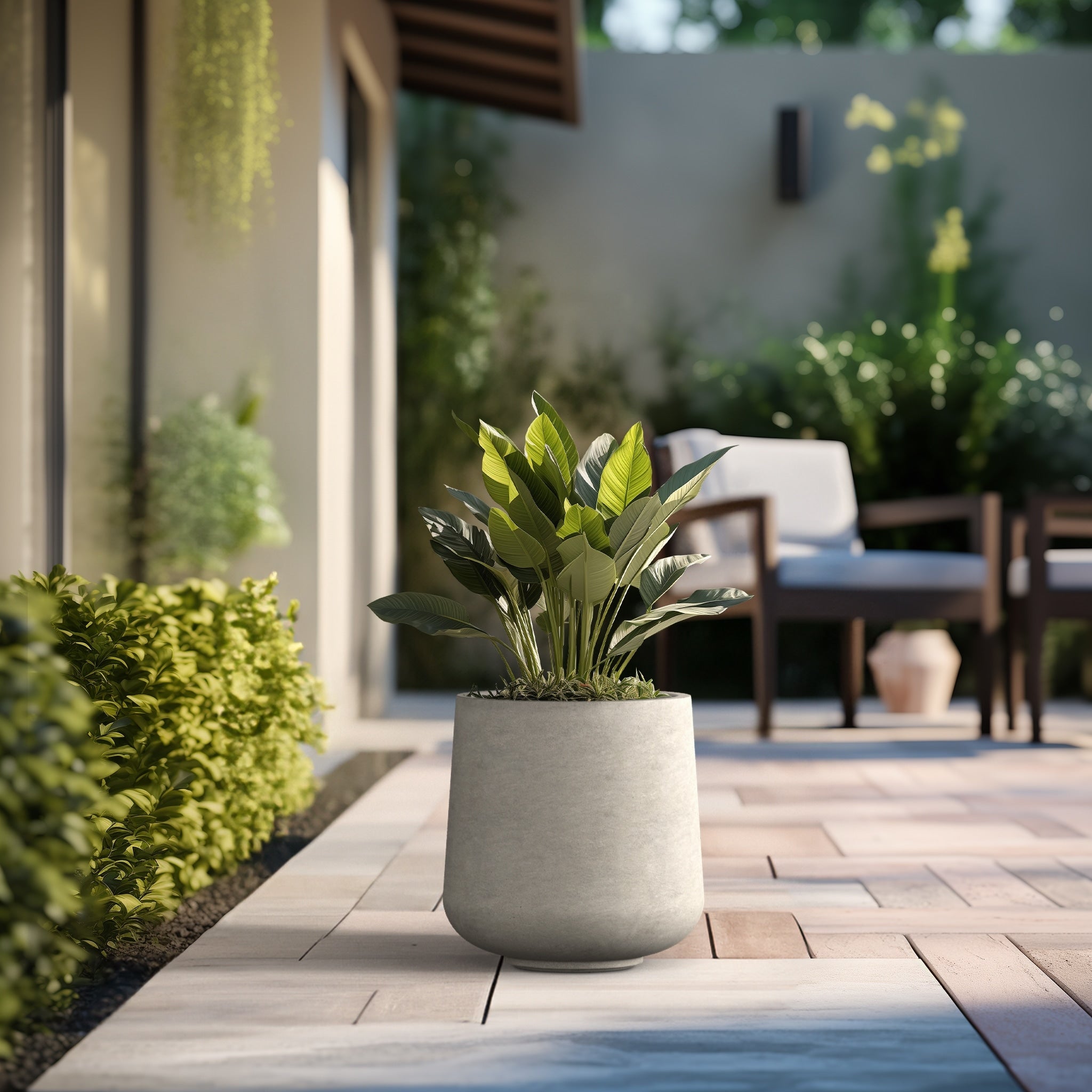 Tall Concrete Round Plant Pots / Large Indoor and Outdoor flower Planters