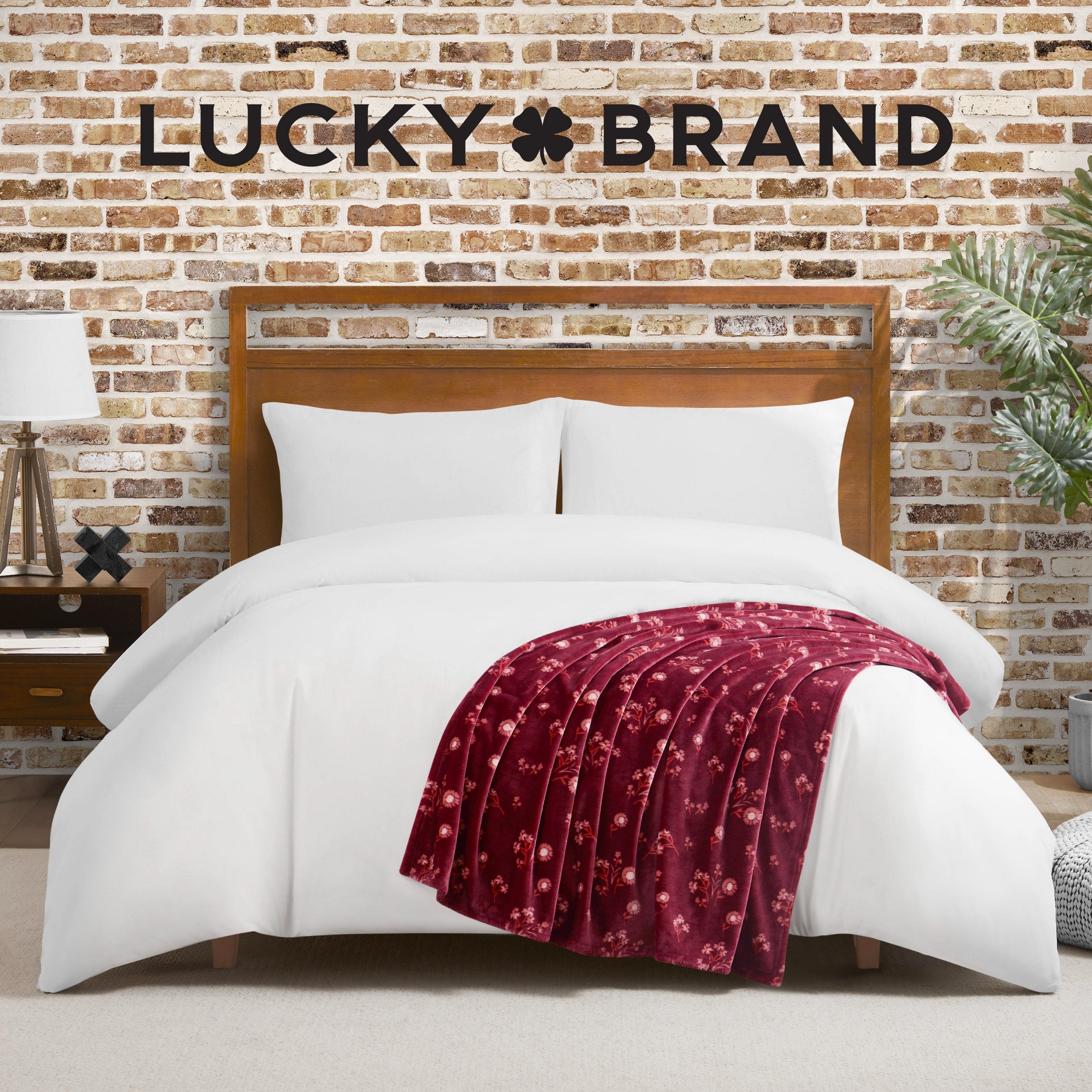 Lucky Brand Daisy Throws Plush 50 x 70 Throw Blanket