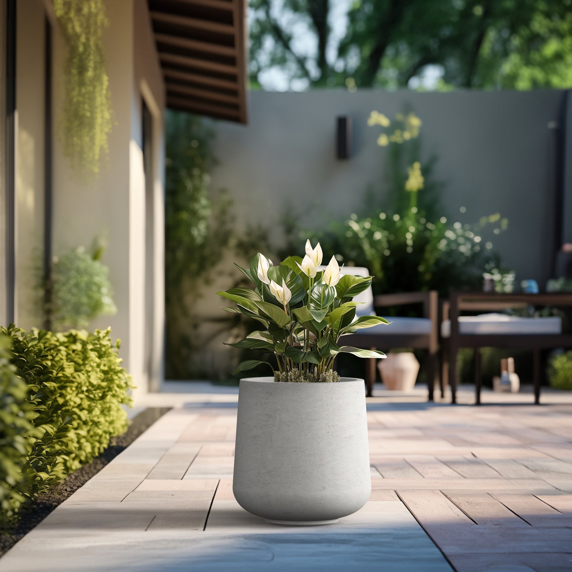 Tall Concrete Round Plant Pots / Large Indoor and Outdoor flower Planters