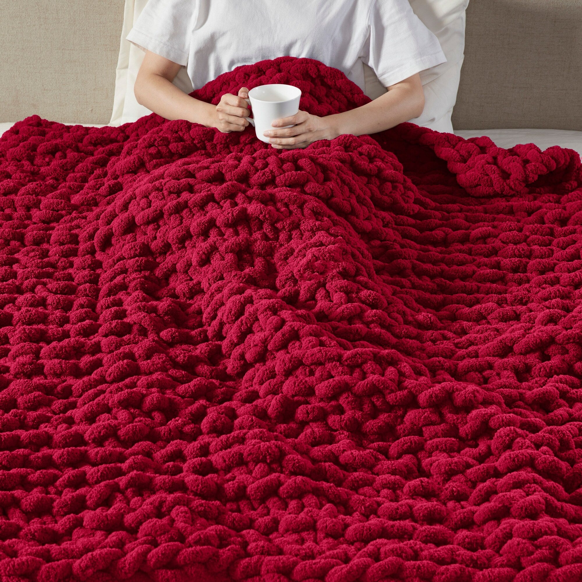 Madison Park Chenille Chunky Knit Throw 50x60