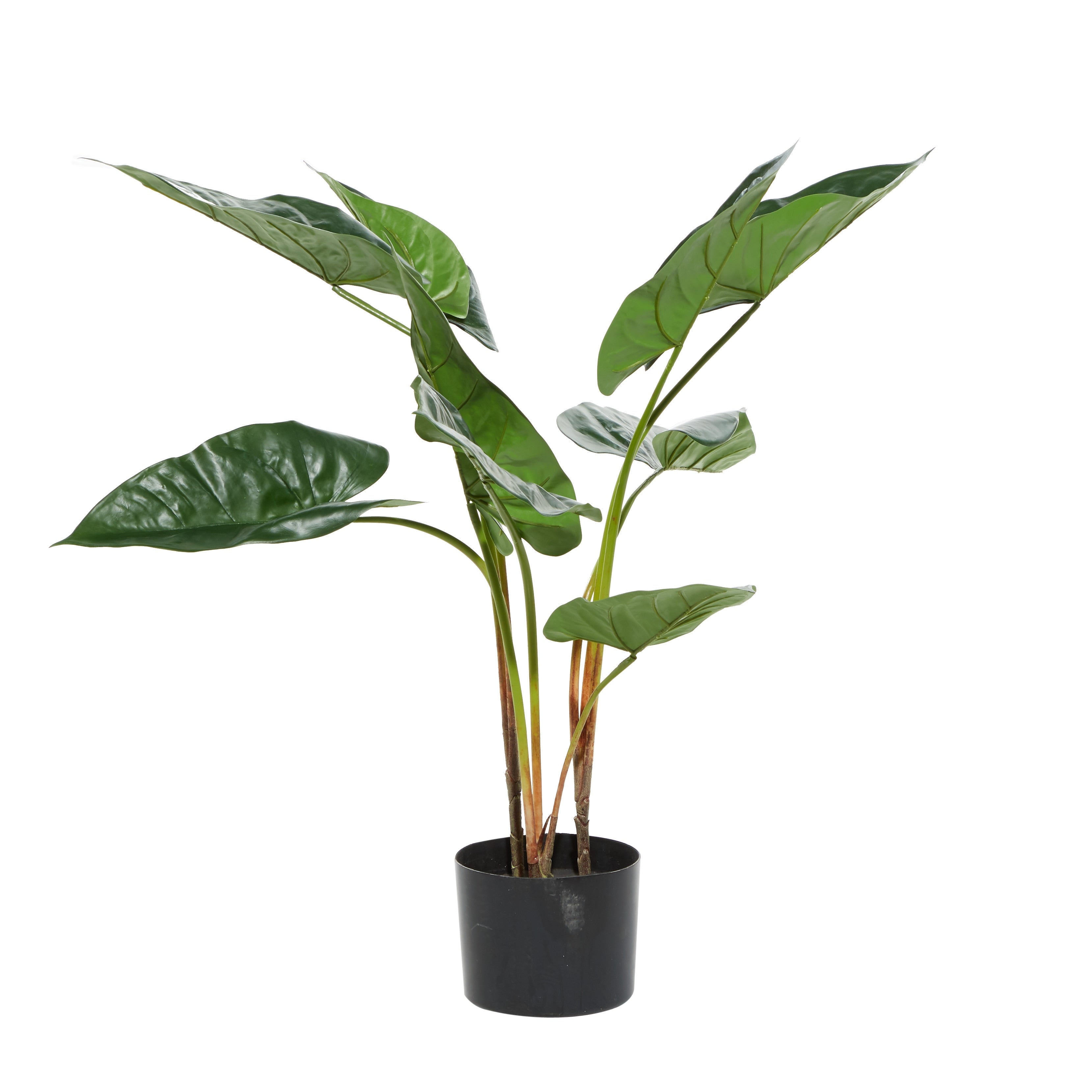 Traditional Green Tropical Faux Foliage Decorative Potted Tree