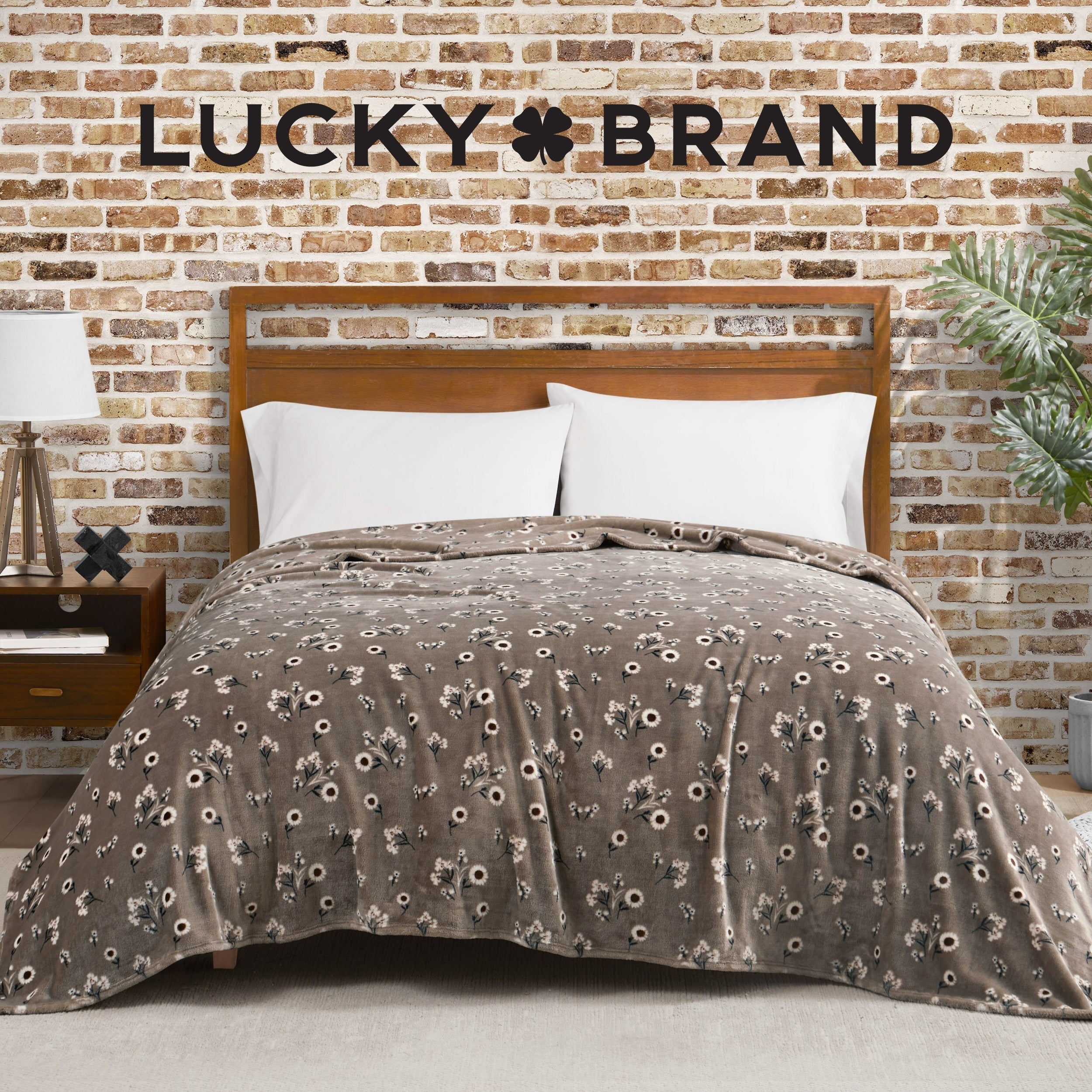 Lucky Brand Daisy Throws Plush 50 x 70 Throw Blanket