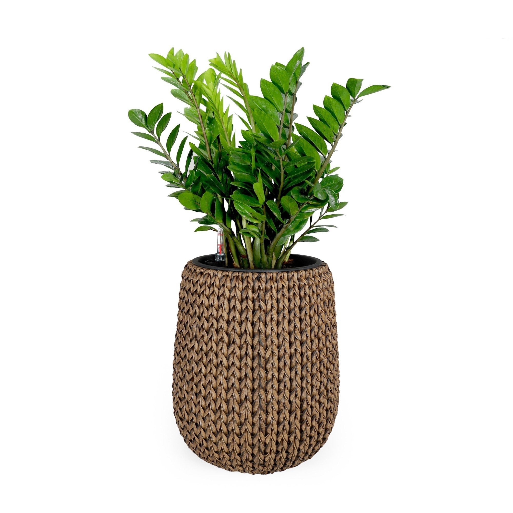 DTY Signature Self-watering Wicker Planter - Garden Decoration Pot