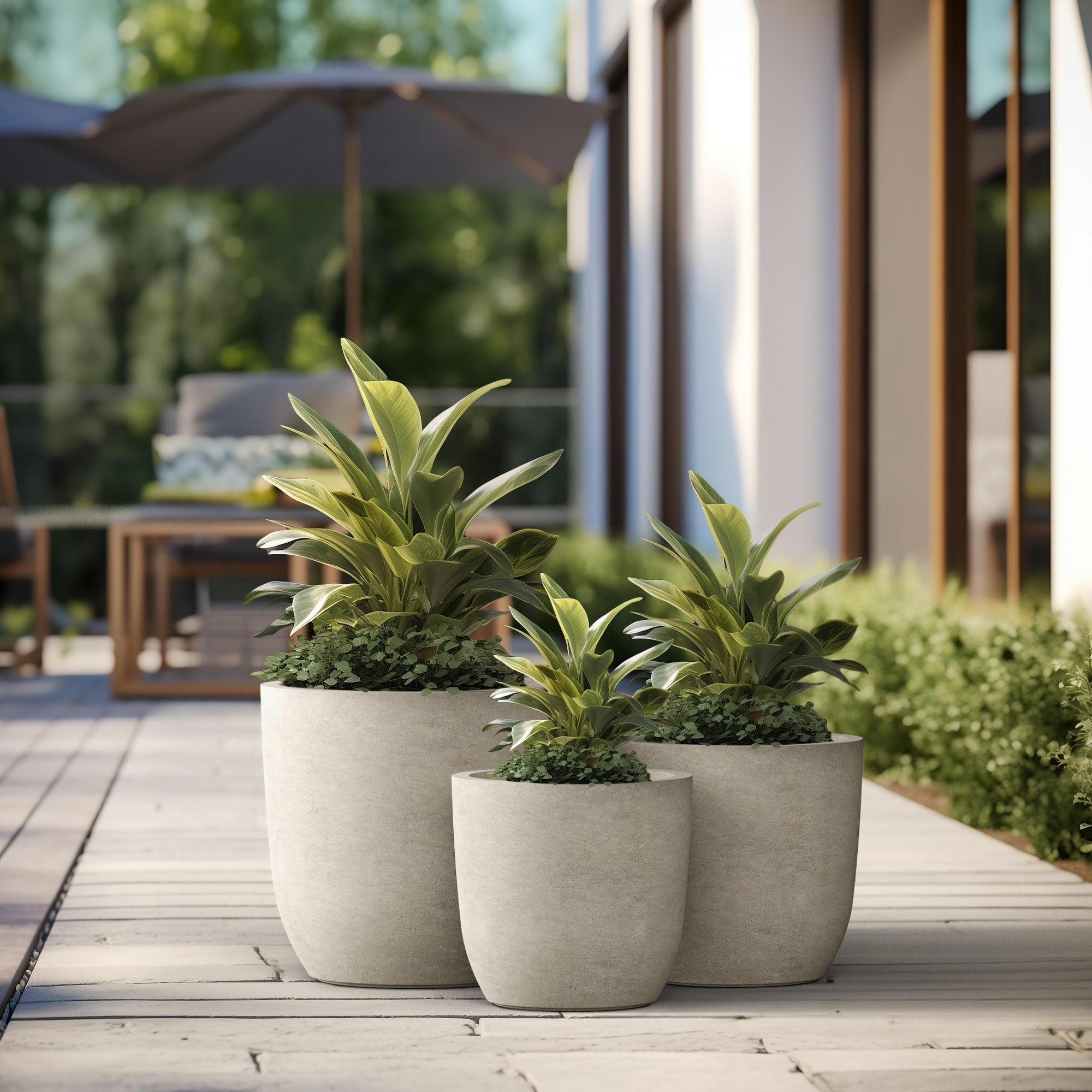 Tall Concrete Round Plant Pots / Large Indoor and Outdoor flower Planters