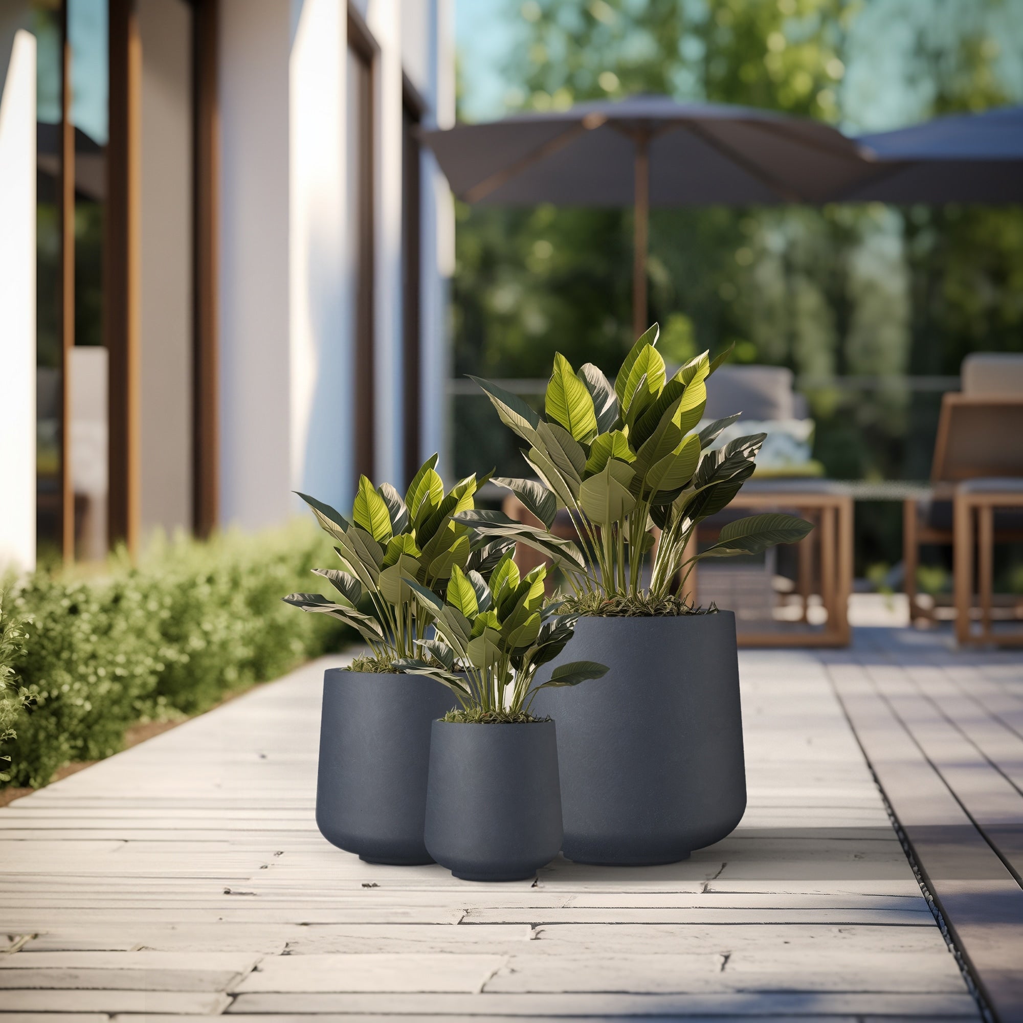 Tall Concrete Round Plant Pots / Large Indoor and Outdoor flower Planters