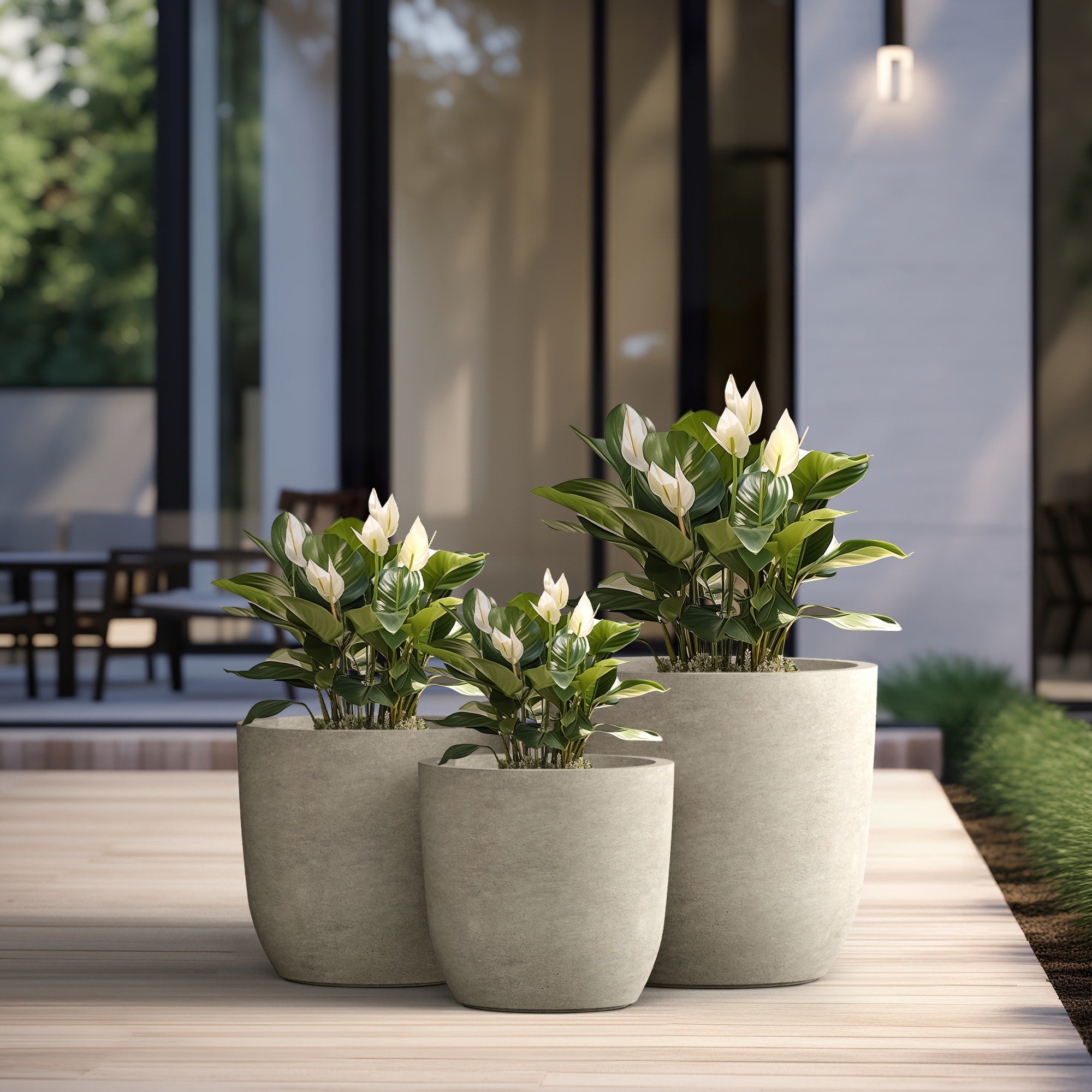 Tall Concrete Round Plant Pots / Large Indoor and Outdoor flower Planters