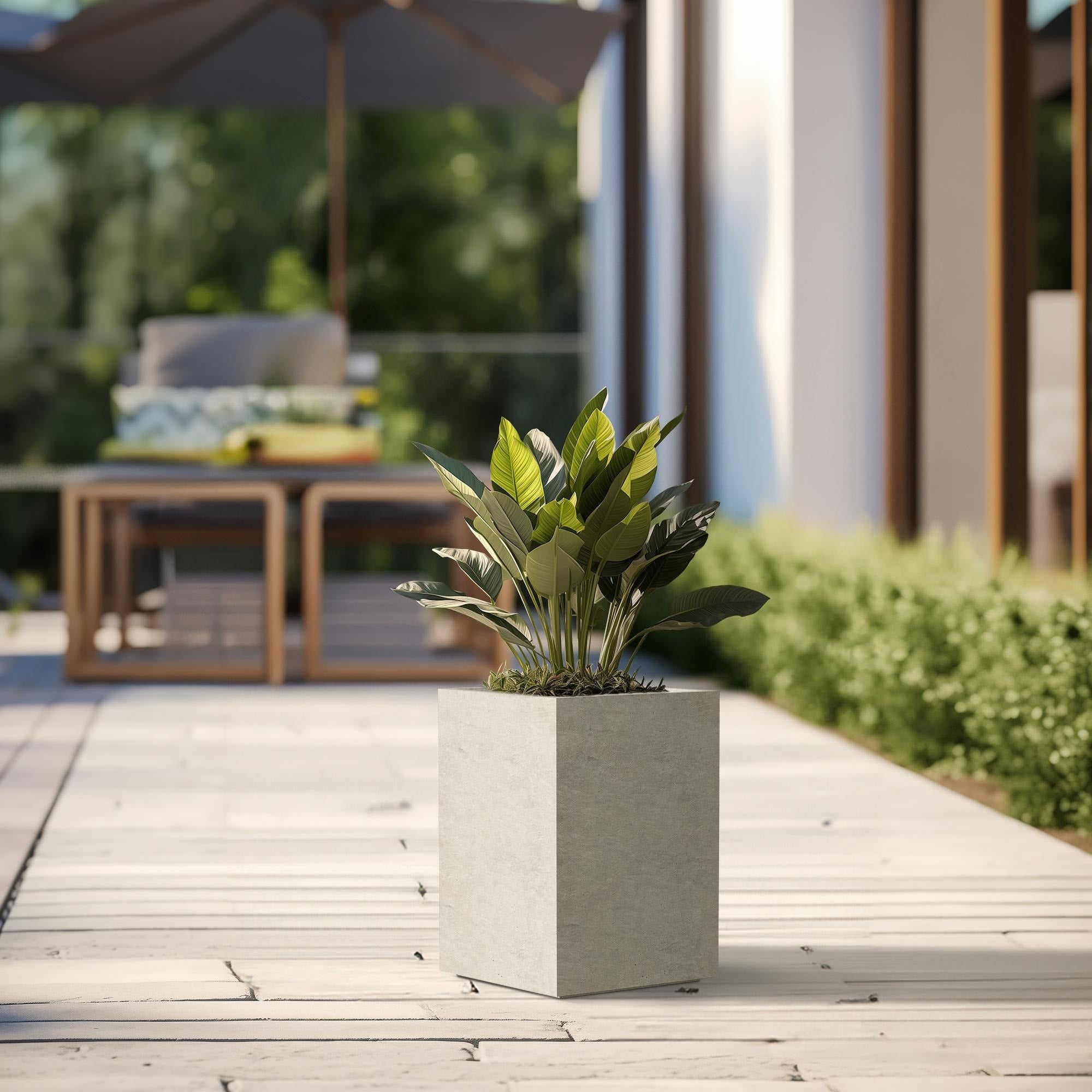 Tall Concrete Rectangle Plant Boxes / Large Indoor and Outdoor Flower Planters