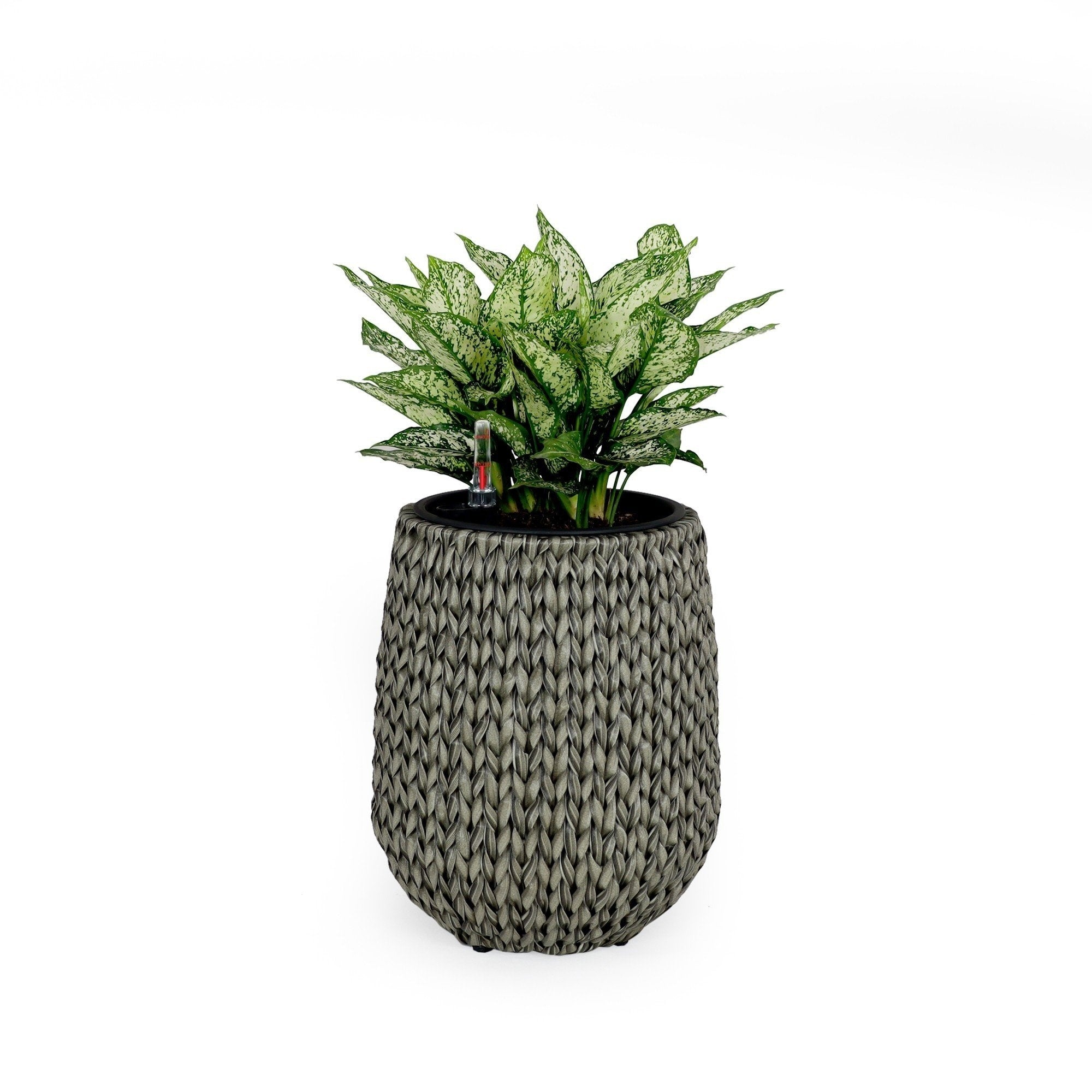 DTY Signature Self-watering Wicker Planter - Garden Decoration Pot