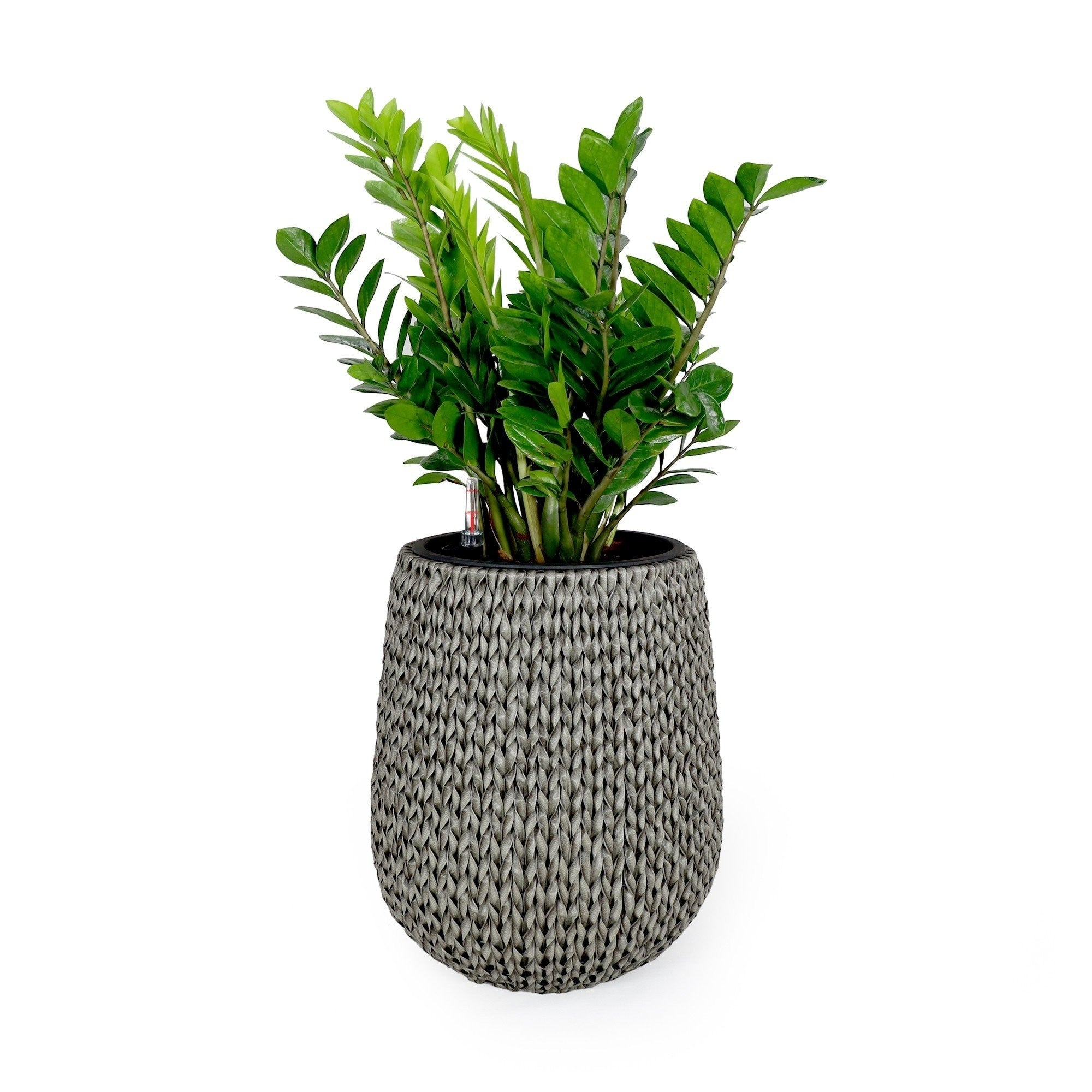 DTY Signature Self-watering Wicker Planter - Garden Decoration Pot