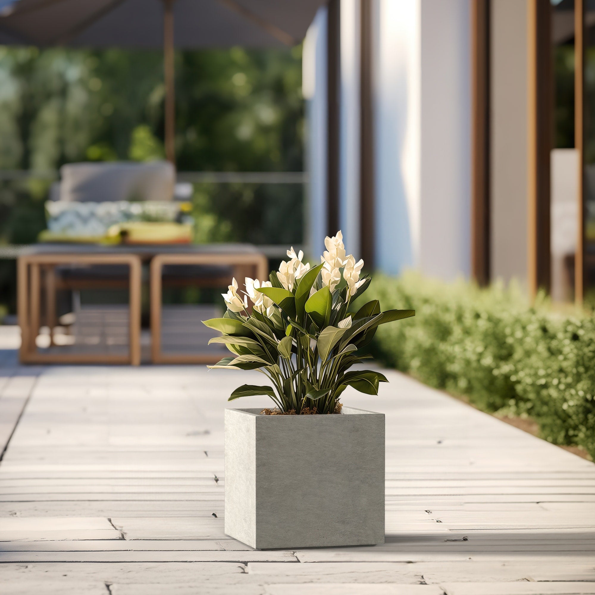 Tall Concrete Square Plant boxes / Large Indoor and Outdoor flower Planters