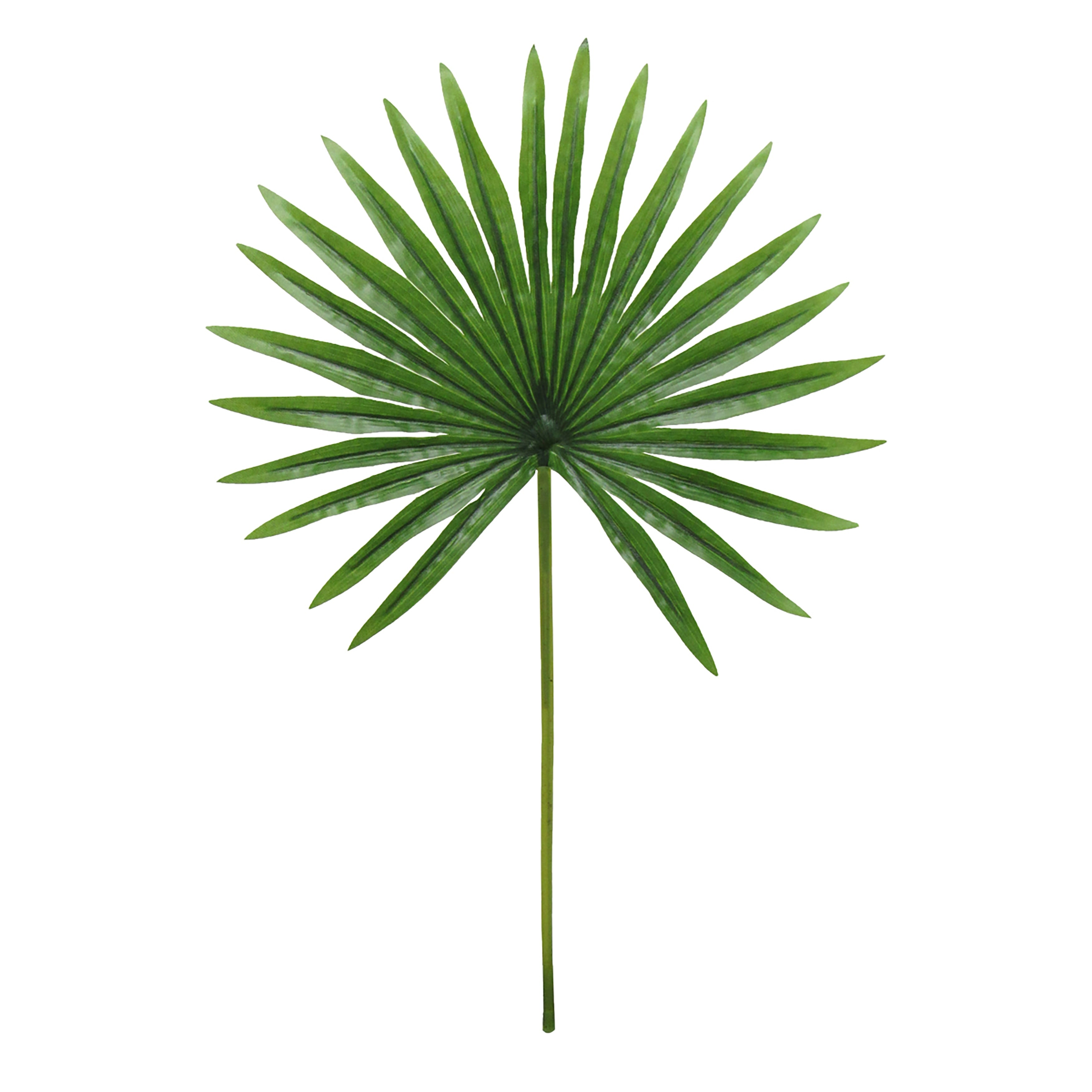 Set of 3 Artificial Fan Palm Leaf Stem Tropical Plant Greenery Foliage 20in - 20 L x 12 W x 0.5 DP