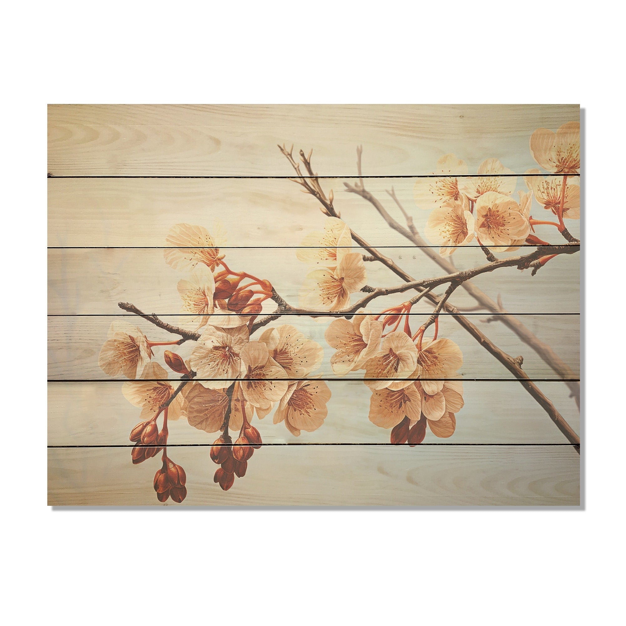 Designart Soft Brown Blossom Flower Branch Flowers Wood Wall Decor Traditional Brown Wood Panel On Natural Pine Wood