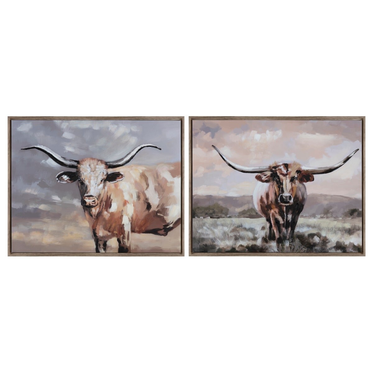 Texas Longhorns