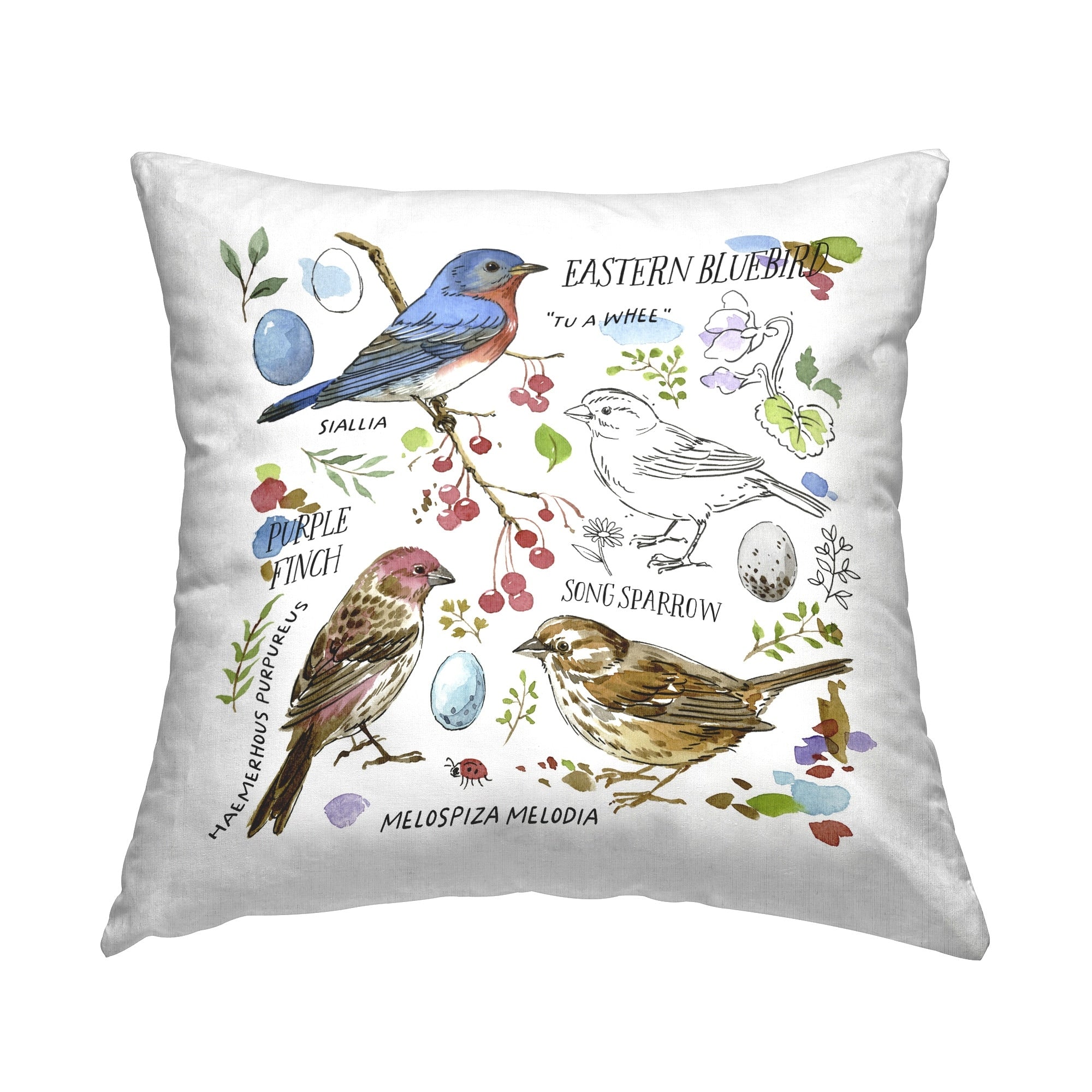 Stupell Woodland Birds Diagram Decorative Printed Throw Pillow Design by Jane Maday