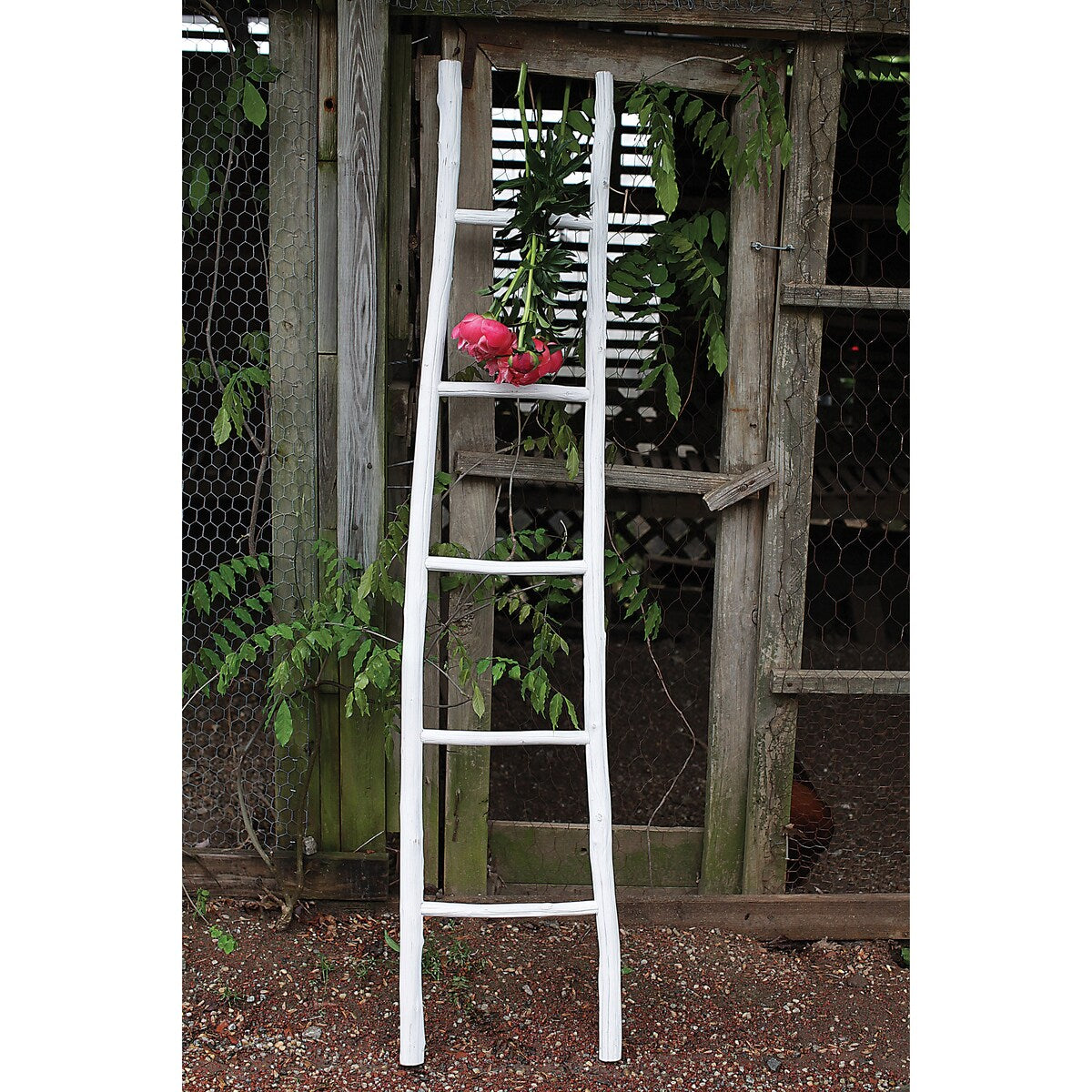 Decorative Wood Blanket Ladder