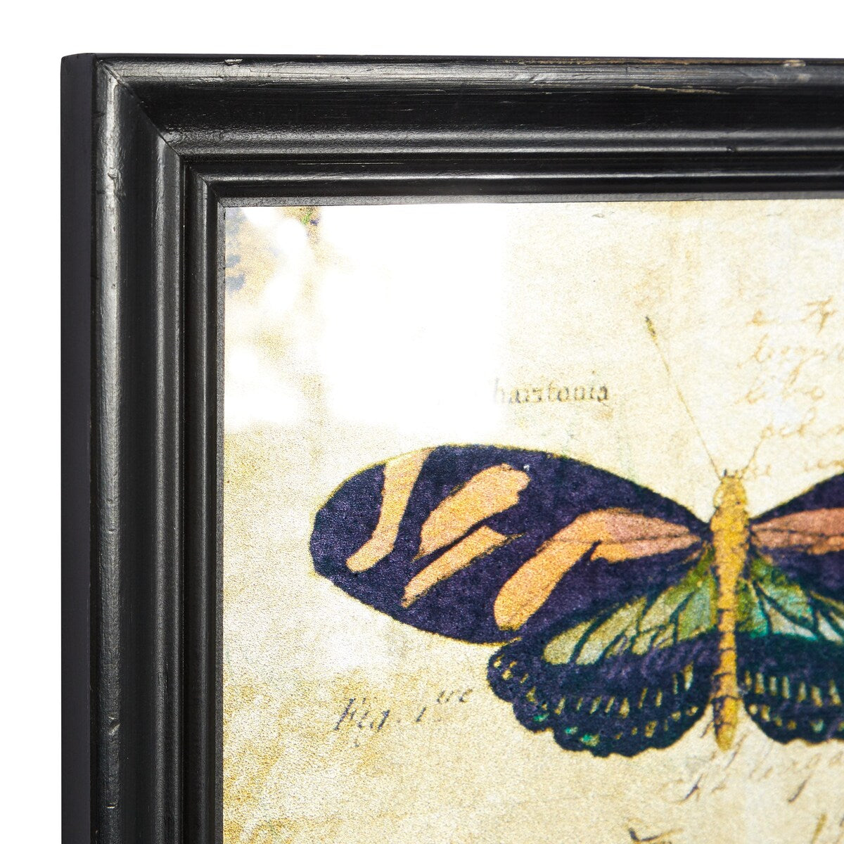 Glass Butterfly Living Room Wall Decor with Black Frame - Set of 2 Multi Colored - Roche River Decor