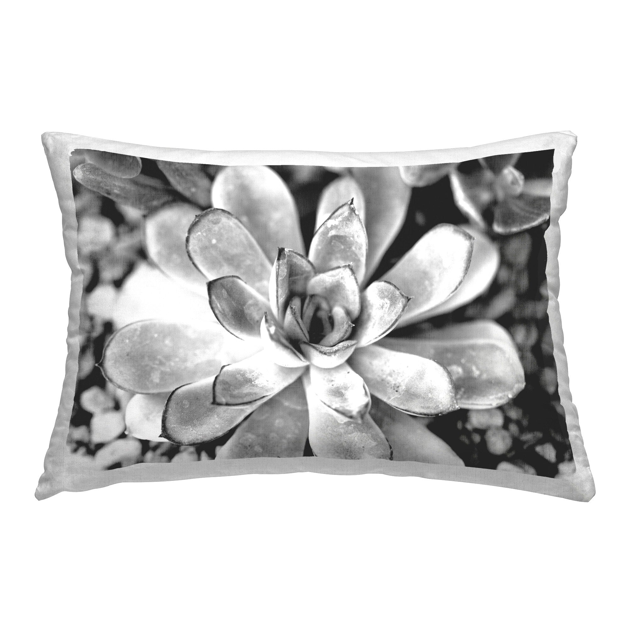 Stupell Monochrome Succulent Leaves Decorative Printed Throw Pillow Design by Susan Bryant