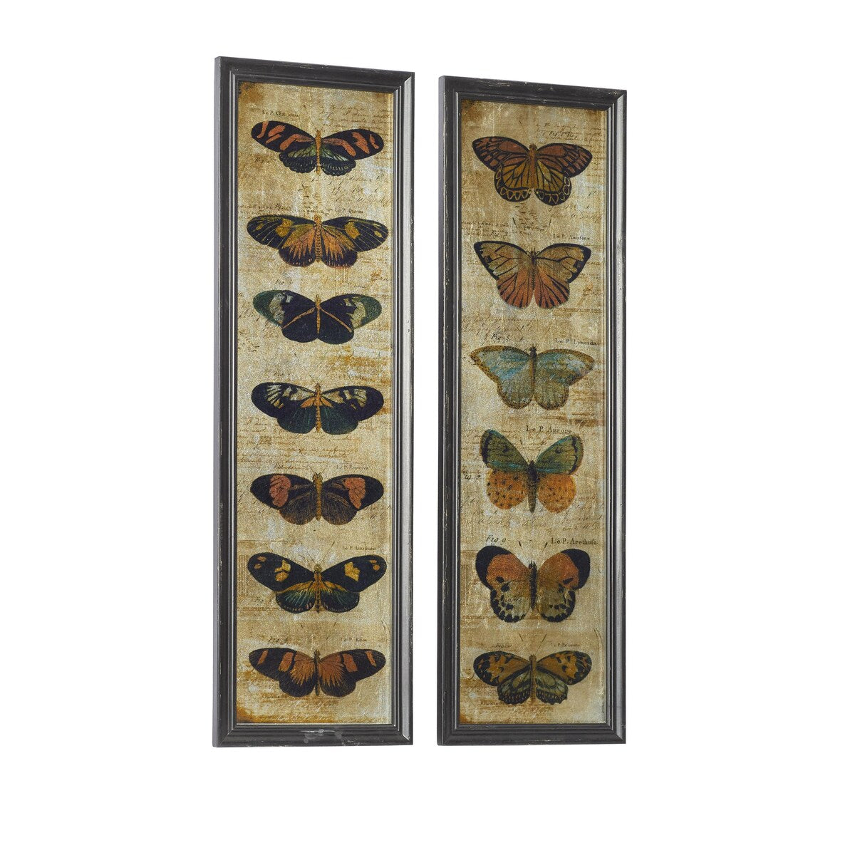 Glass Butterfly Living Room Wall Decor with Black Frame - Set of 2 Multi Colored - Roche River Decor