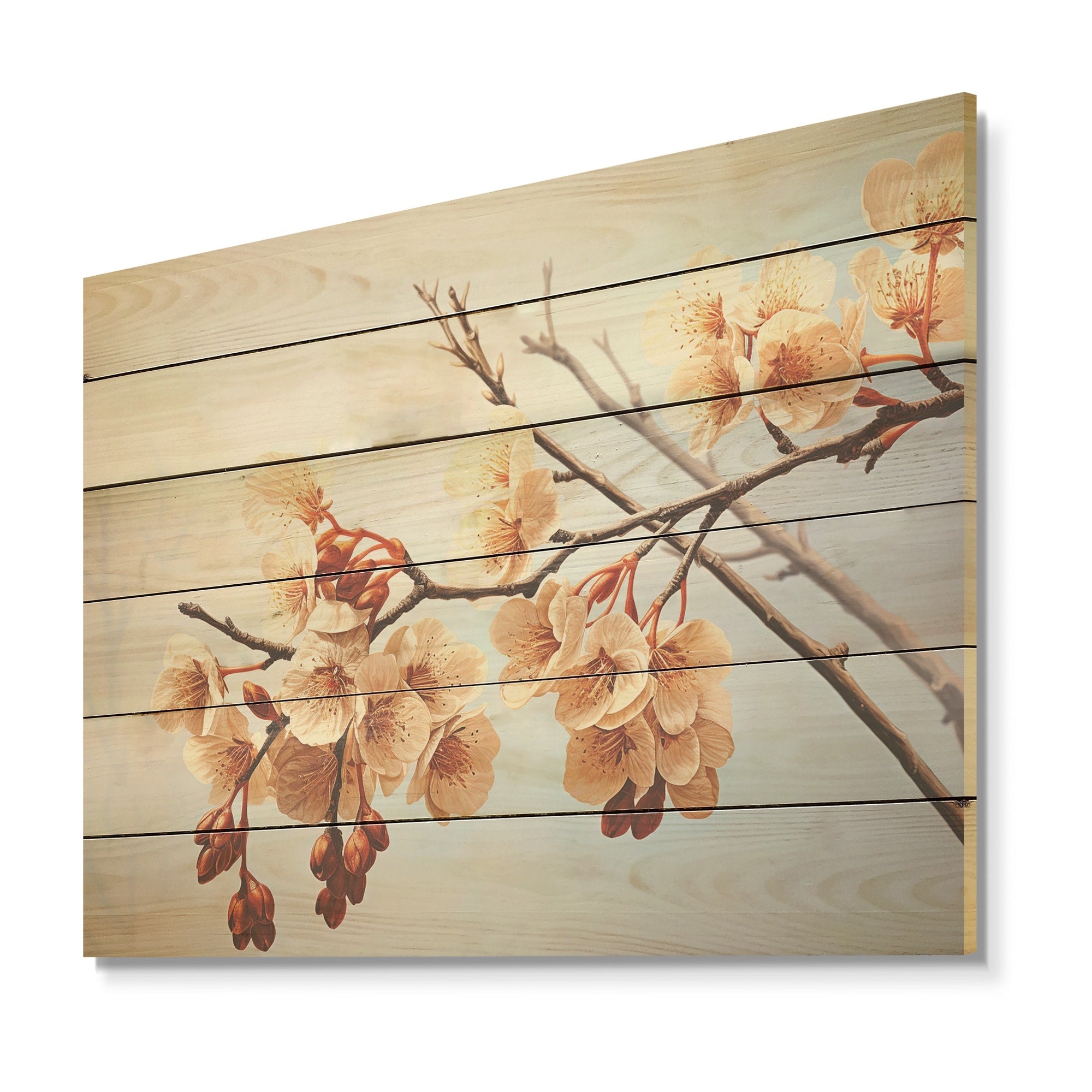 Designart Soft Brown Blossom Flower Branch Flowers Wood Wall Decor Traditional Brown Wood Panel On Natural Pine Wood