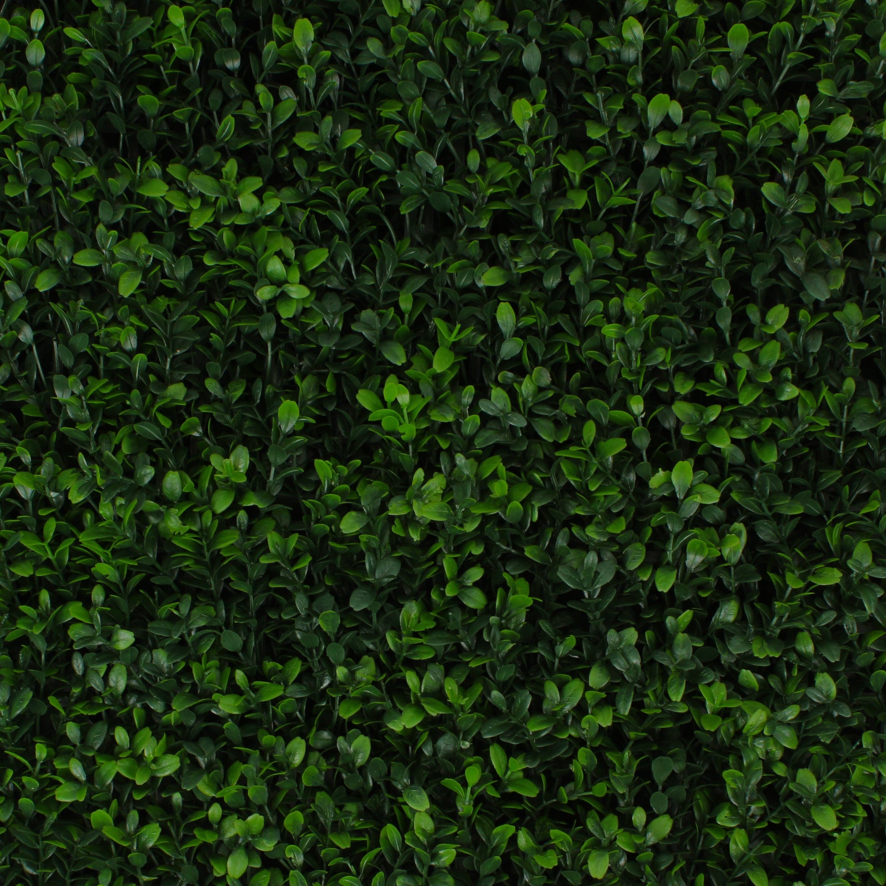 Greenery Panel