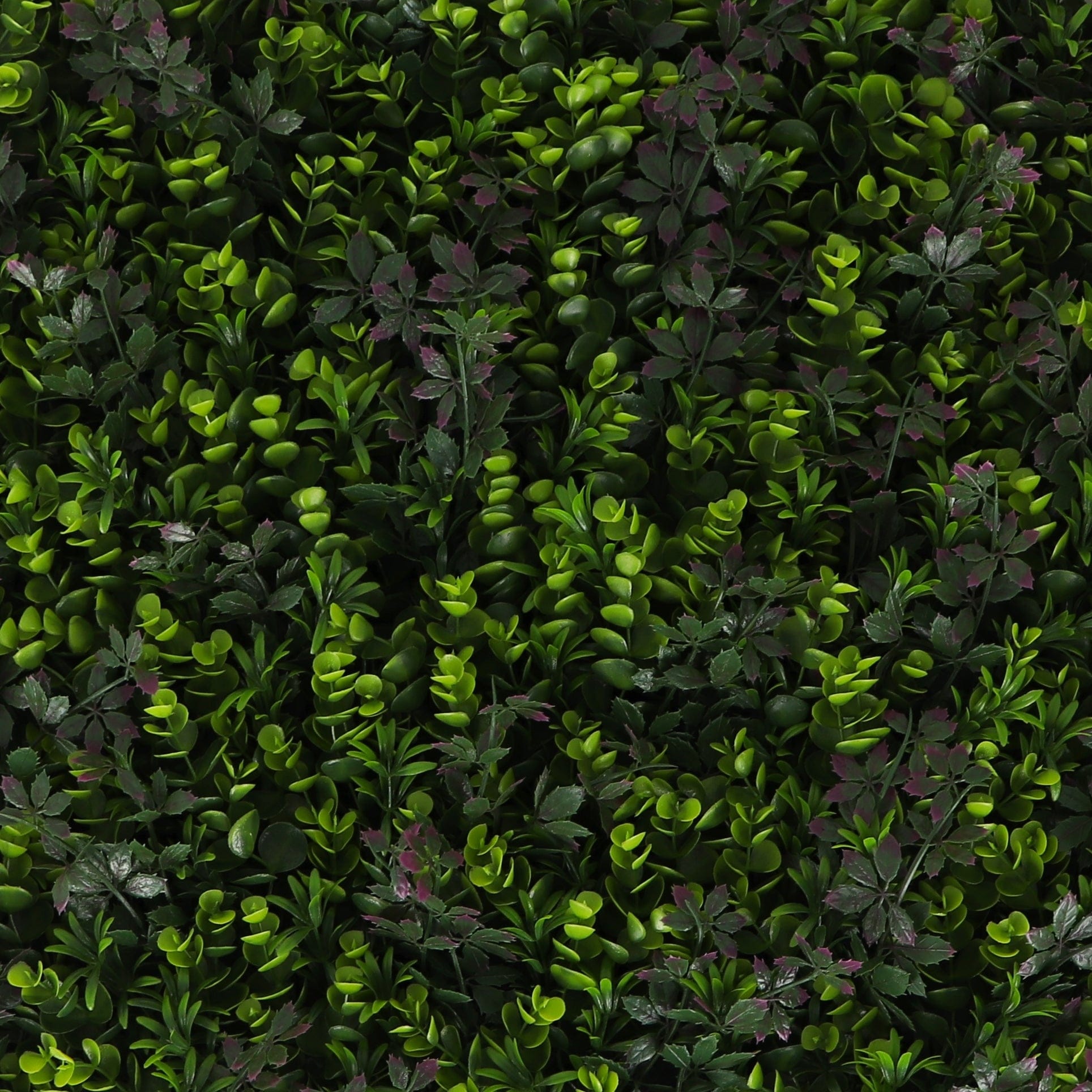 Greenery Panel