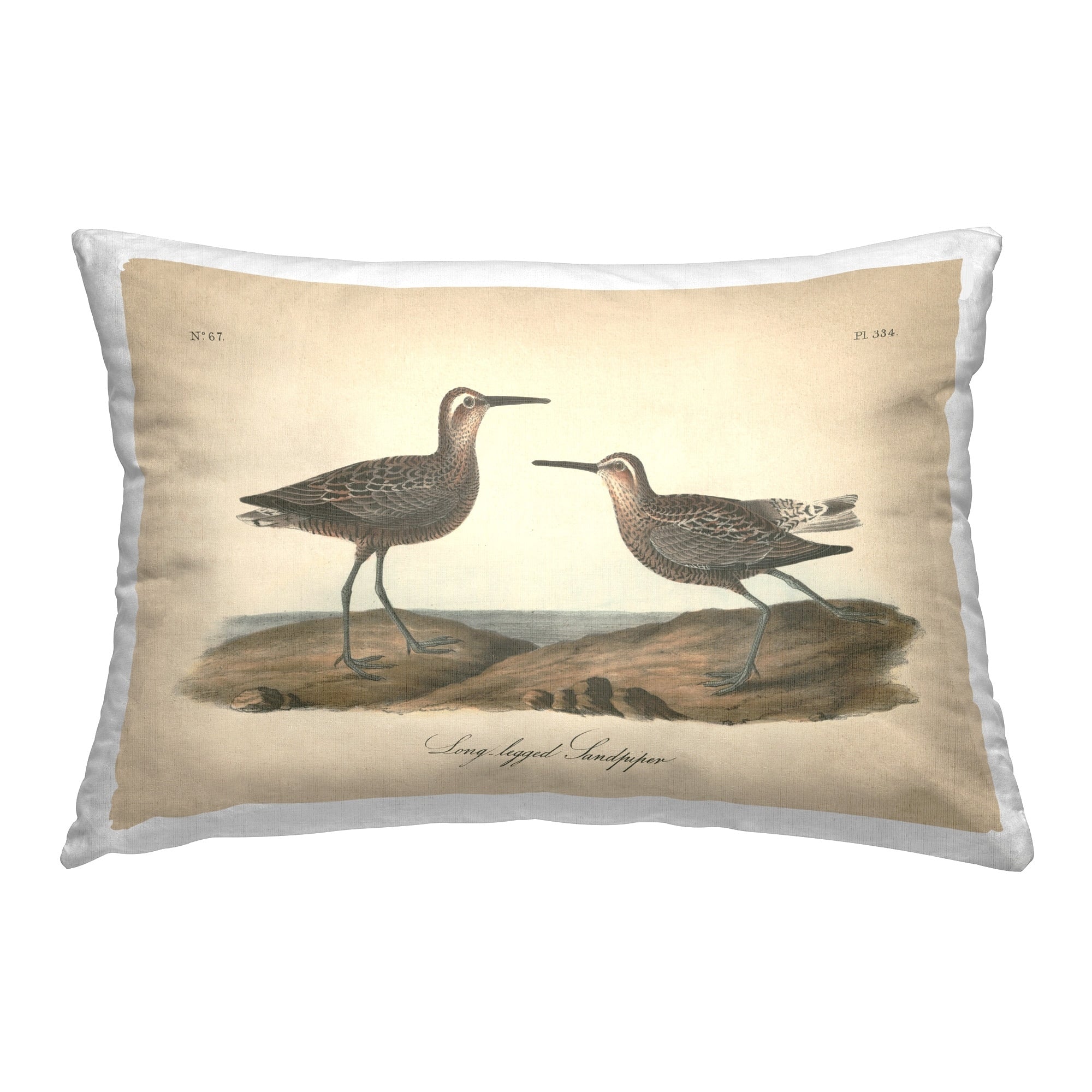 Stupell Long Legged Sandpiper Decorative Printed Throw Pillow Design by Wild Apple Portfolio