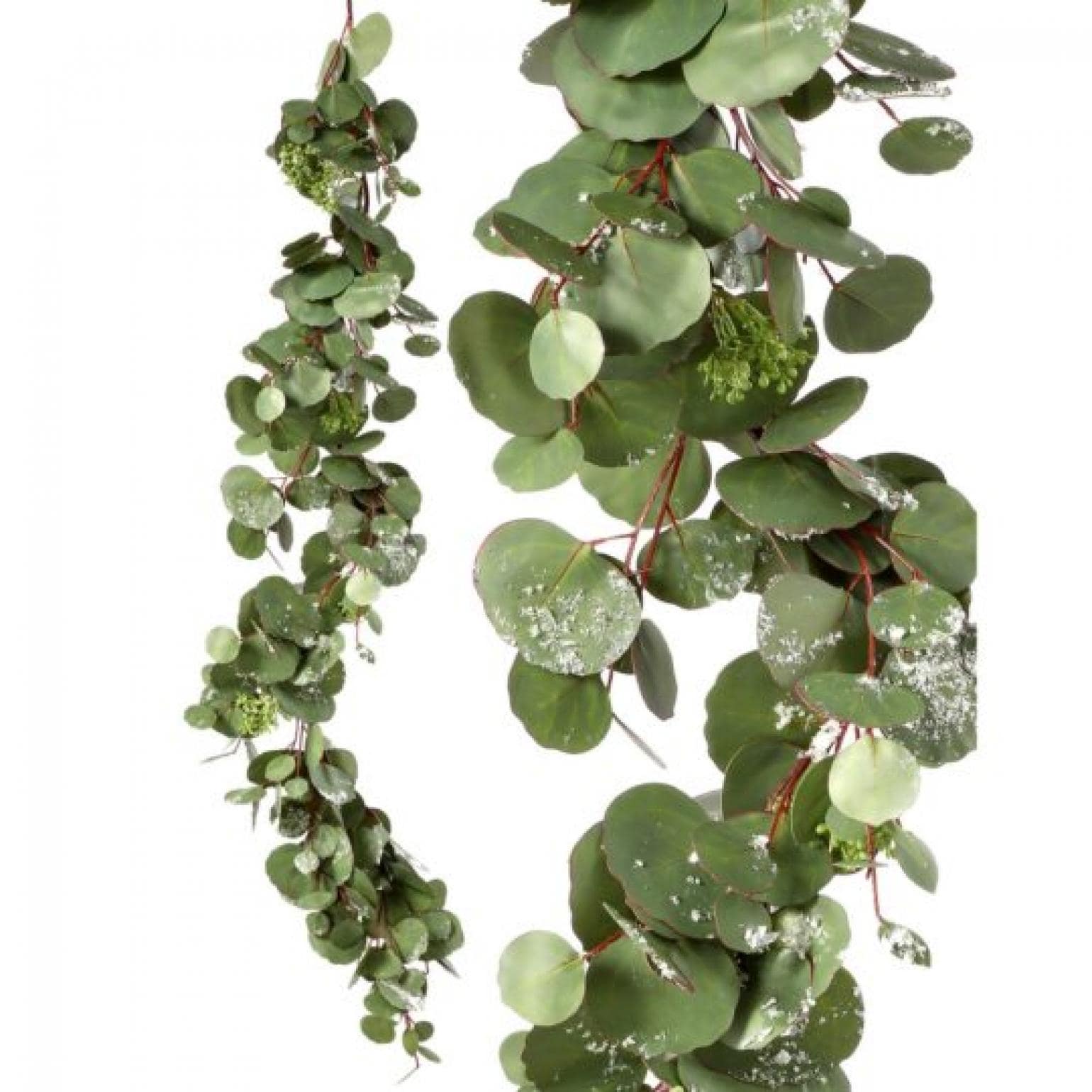 Frosted Silver Dollar Eucalyptus Garland - Multi